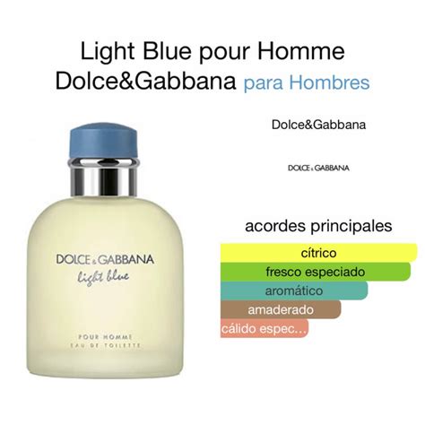 notas dolce gabbana light blue|light blue dolce gabbana mujer.